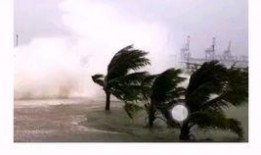 珠海金湾爆料事件最新情况,最新进展揭秘，真相逐步浮出水面